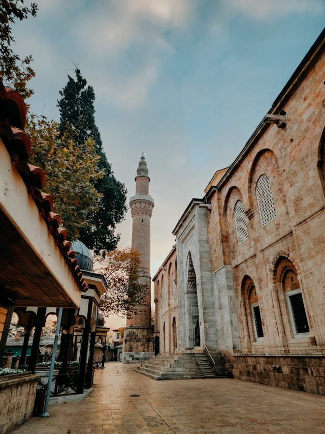 Bursa